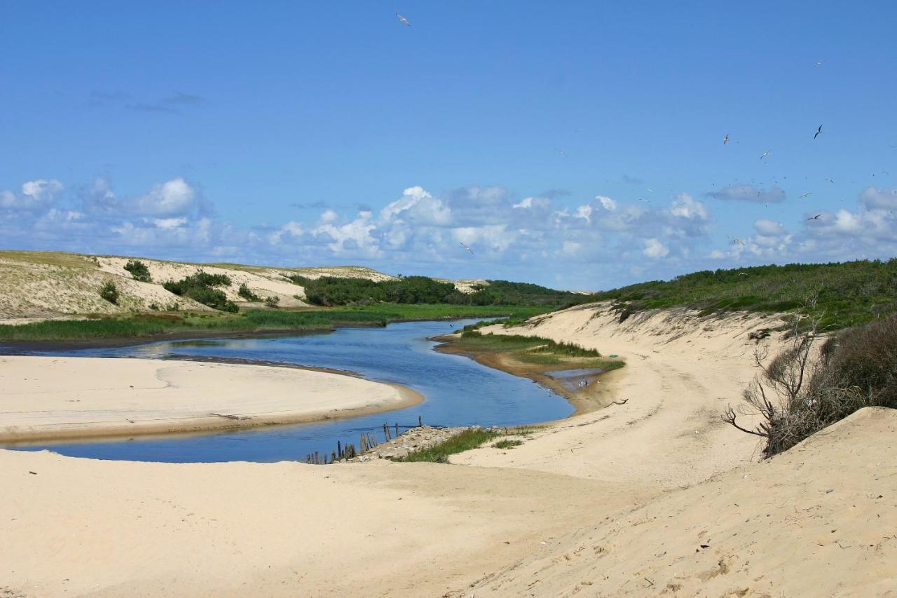LE HAMEAU DES VAGUES 6 PERS Piscines et Nature à MOLIETS Exterior foto